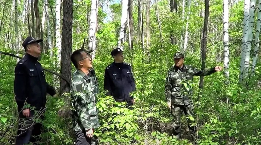 mg������Ե(�й���)�ٷ���վ