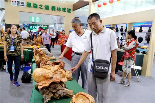 mg不朽情缘(中国区)官方网站