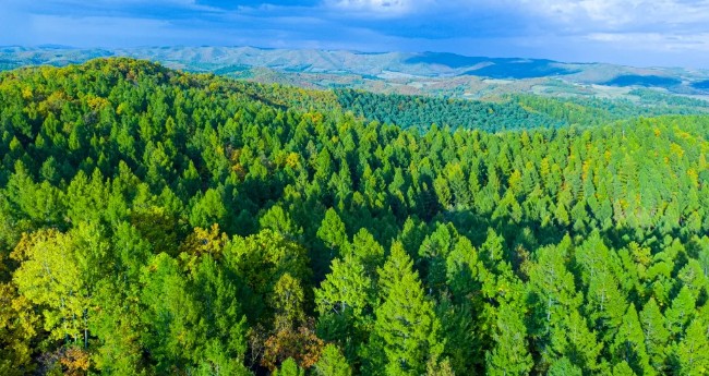 mg²»ÐàÇéÔµ(ÖйúÇø)¹Ù·½ÍøÕ¾