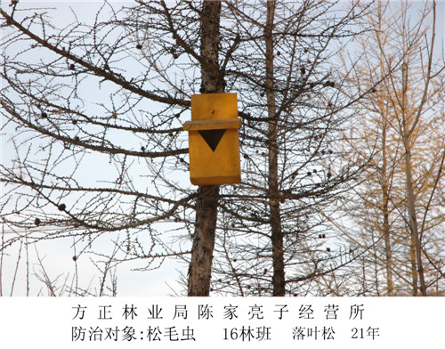 mgԵ(й)ٷվ