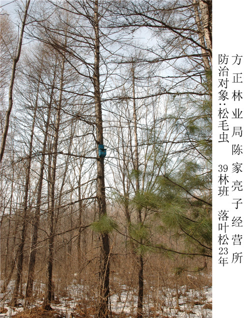 mgԵ(й)ٷվ