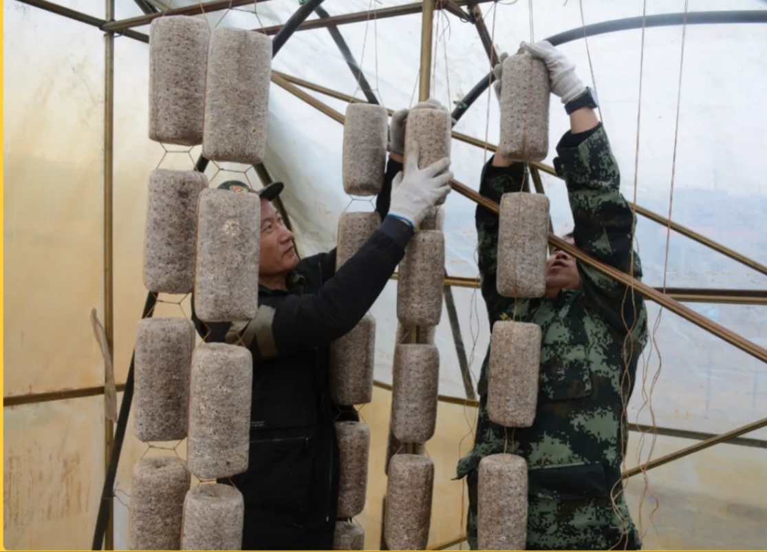 mg������Ե(�й���)�ٷ���վ