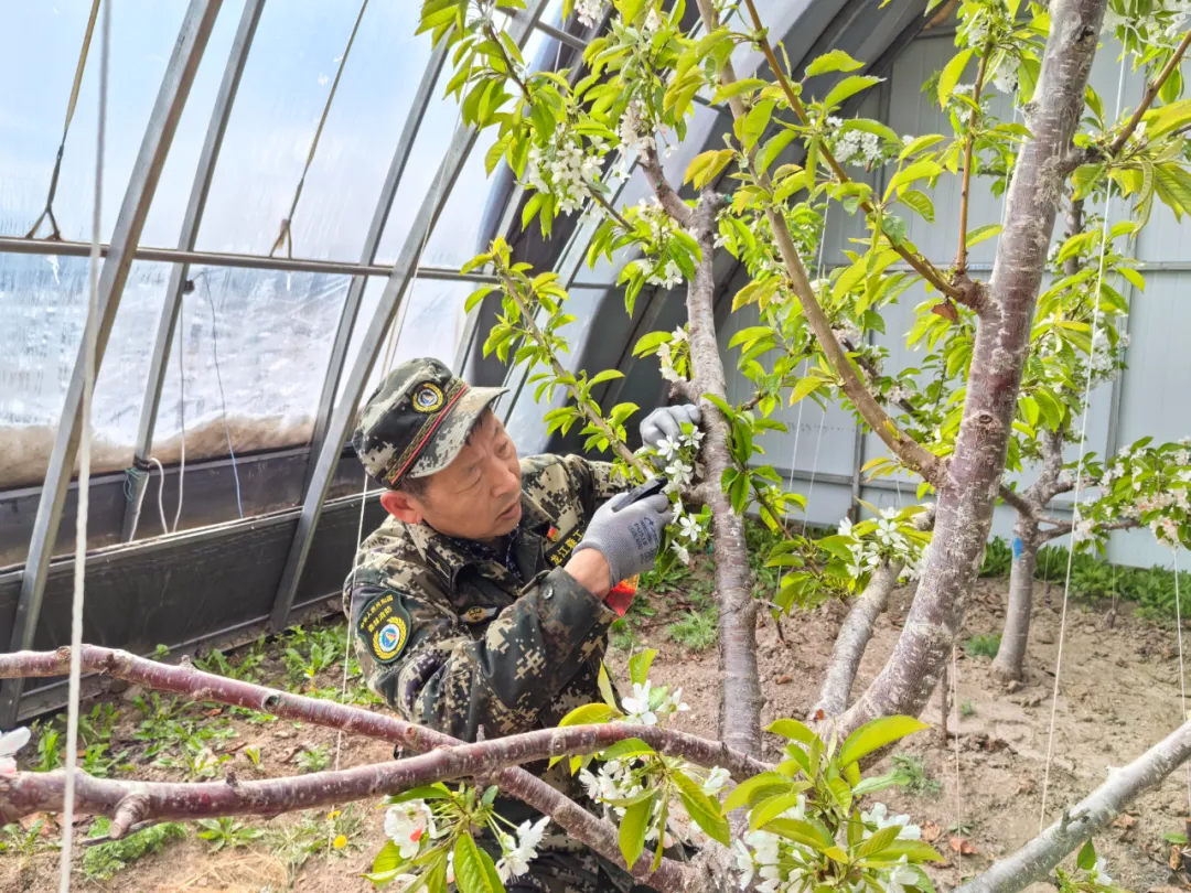 mg������Ե(�й���)�ٷ���վ