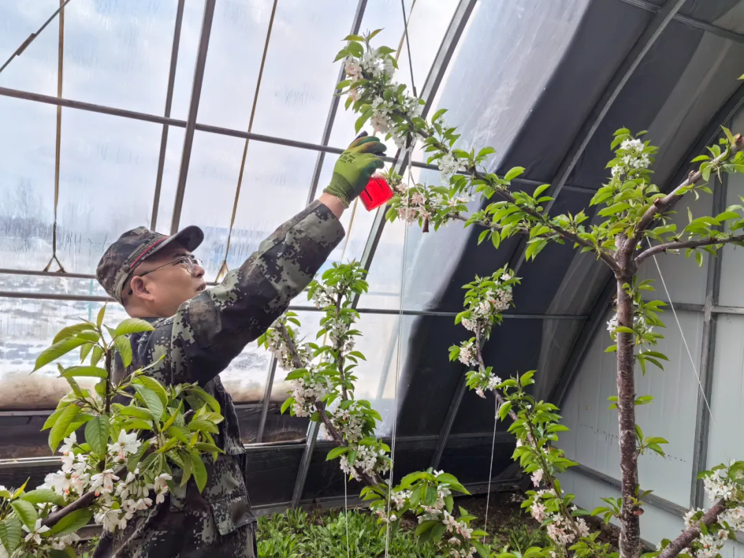 mg������Ե(�й���)�ٷ���վ