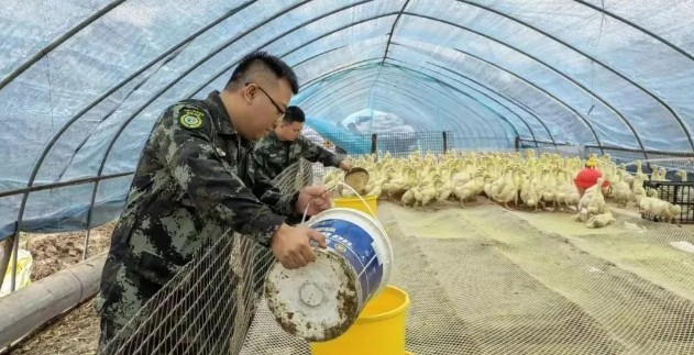 mg������Ե(�й���)�ٷ���վ