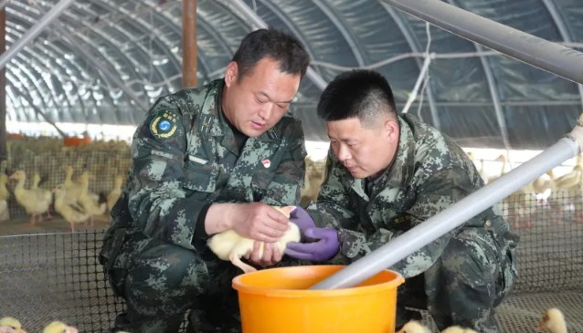 mg������Ե(�й���)�ٷ���վ