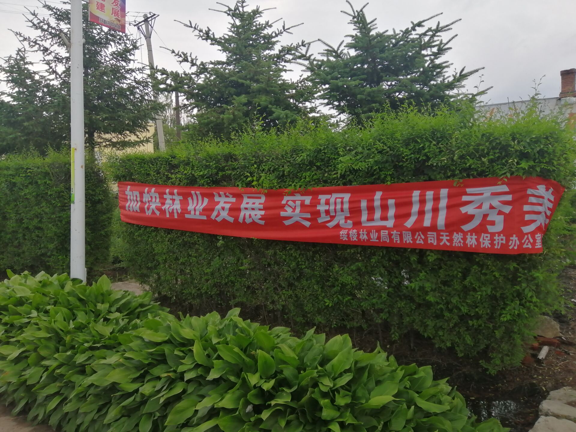 mgԵ(й)ٷվ