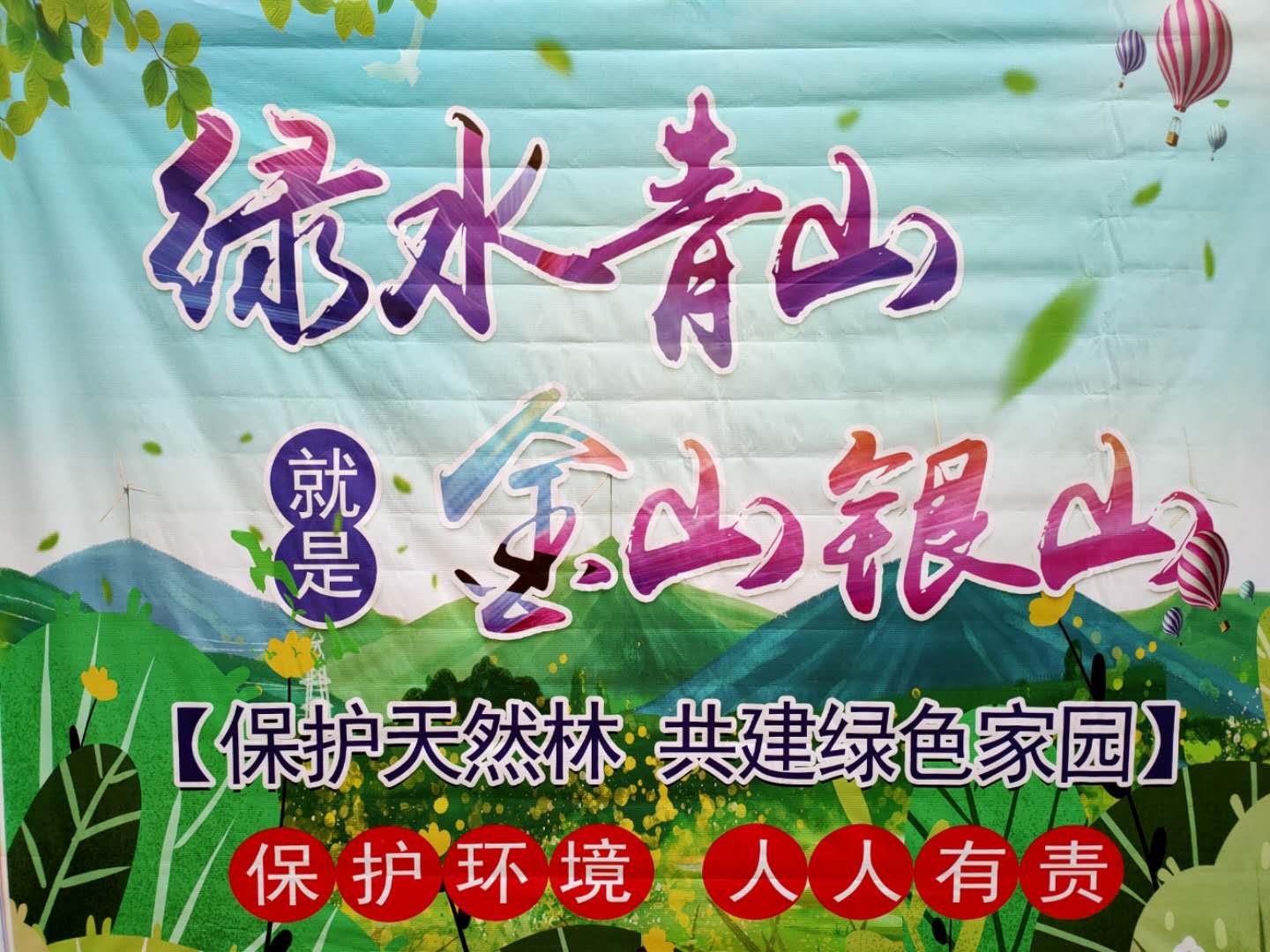 mgԵ(й)ٷվ